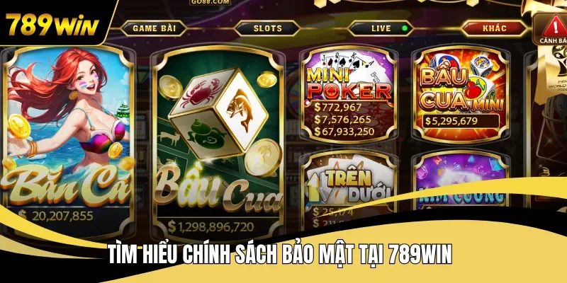 Tìm hiểu chính sách bảo mật tại 789WIN